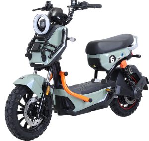 Tailg Discovery X51