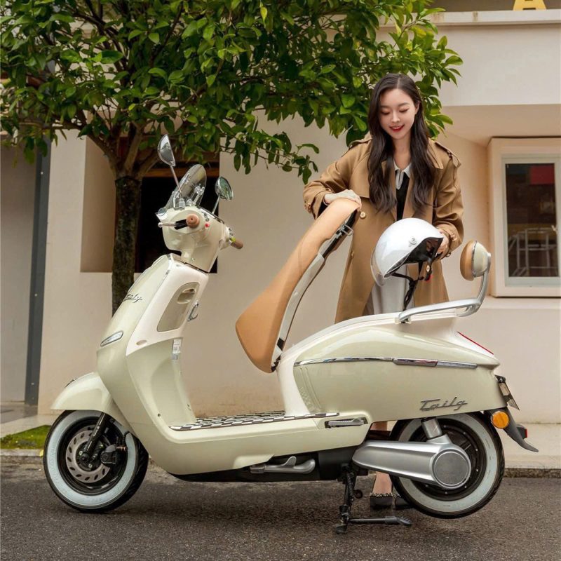 Làm Rõ Xe Điện Tailg Sử Dụng Ắc Quy Loại Nào, Giải Đáp Chi Tiết Nhất?