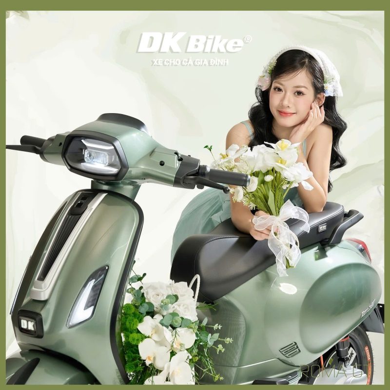 Động cơ BLDC 3 pha không chổi than 1650W 