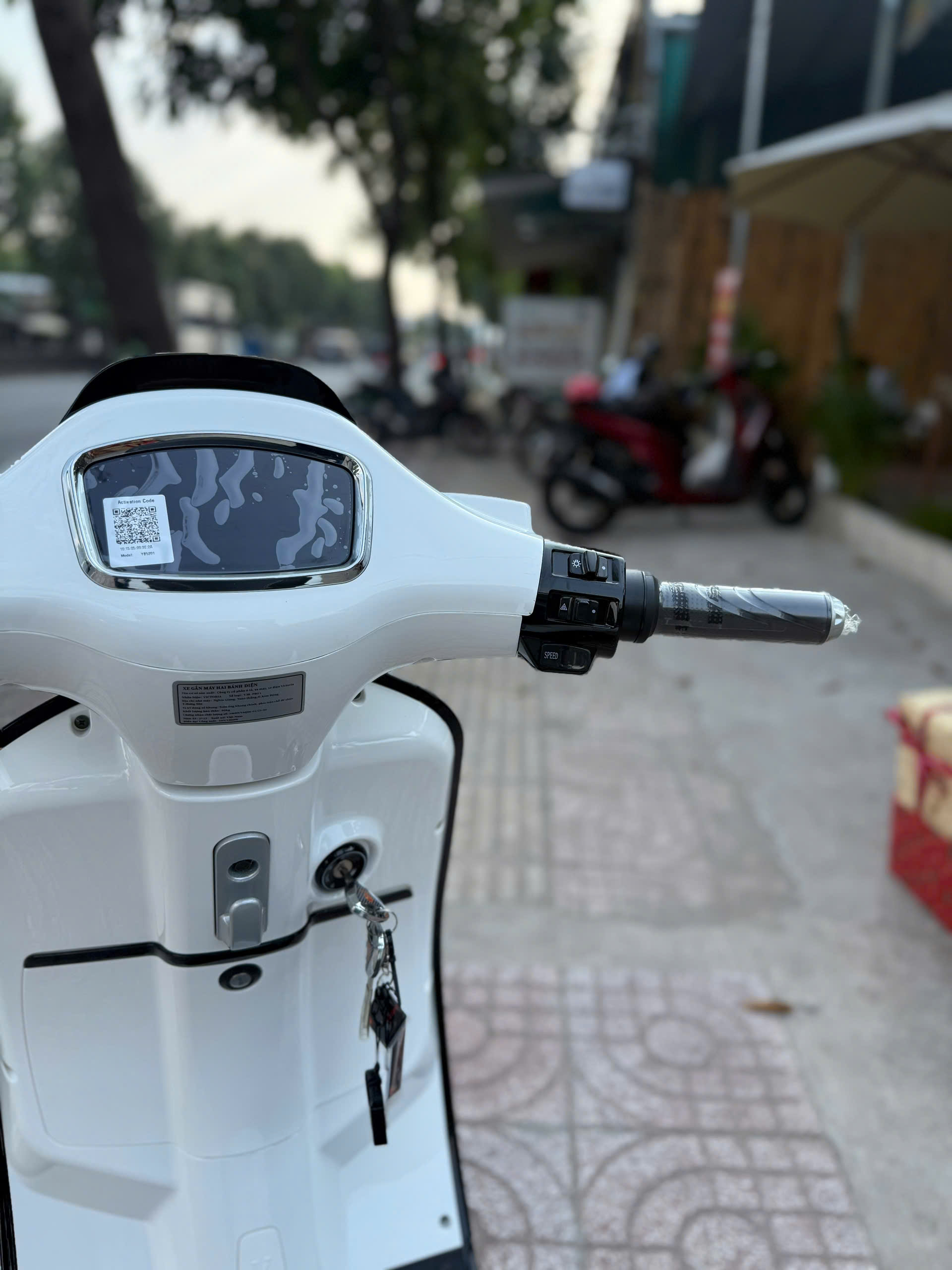 Xe Máy Điện Victoria V38 Việt Nhật Thế Hệ Mới - Ảnh 44