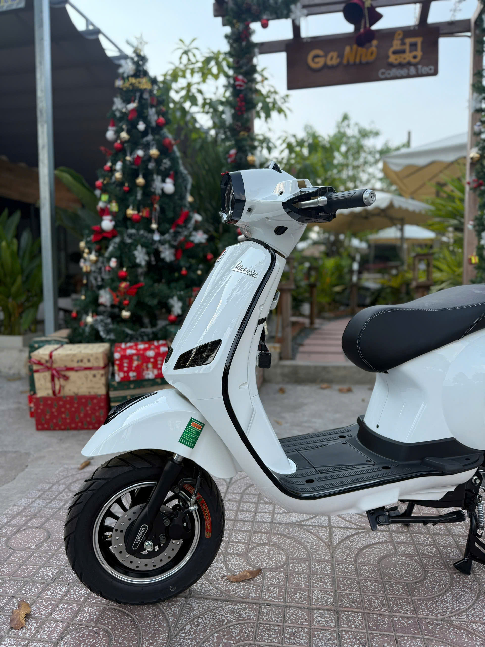 Xe Máy Điện Victoria V38 Việt Nhật Thế Hệ Mới - Ảnh 47