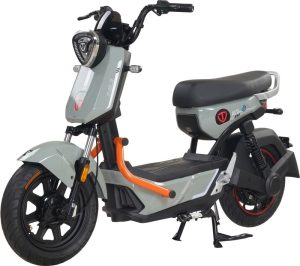 Tailg GX30 Xbull