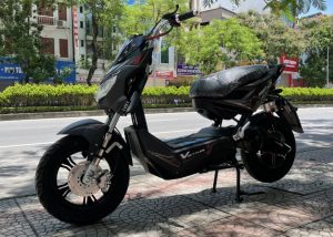 Xmen Sport Việt Thái