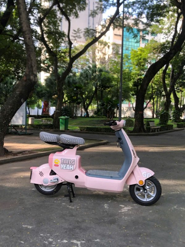 Giá trị pháp lý và lợi ích khi mua Tailg Hotgirl GR55